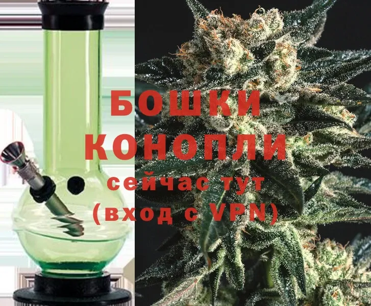 Бошки марихуана SATIVA & INDICA  купить наркотики цена  Зверево 